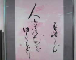 酒井 玉蘭「春惜しむ 人や落花を ゆきもどり 召波」 酒井 玉蘭 「春惜しむ 人や落花を ゆきもどり 召波」