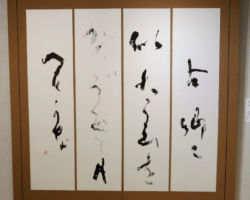 朝倉 竜樹 月見 朝倉 竜樹 月見