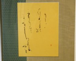 朝倉 竜樹 山桜花 朝倉 竜樹 山桜花