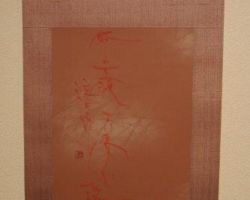 菅 権六 菅 権六