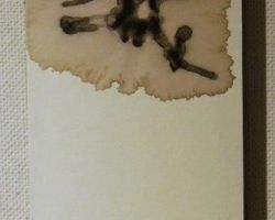 金坂 翠香 誠 金坂 翠香 誠