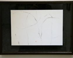 欅 隆雪 ゆき 欅 隆雪 ゆき