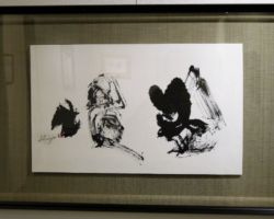 中川 紫陽 乾坤 中川 紫陽 乾坤