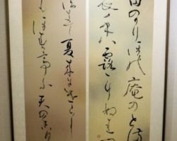 酒井 玉蘭 百人一首 酒井 玉蘭 百人一首